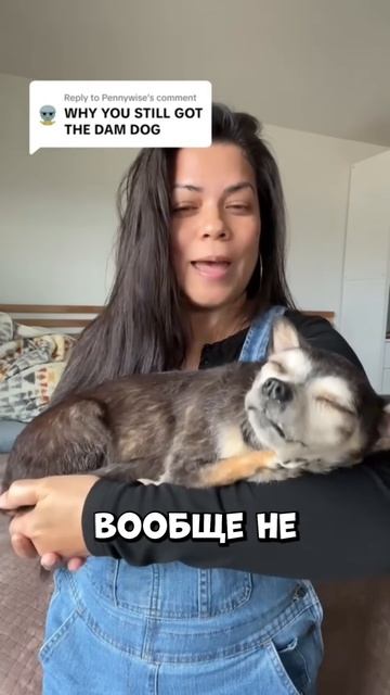 Все думали что собака живая но правда была жуткой #shorts смотреть онлайн