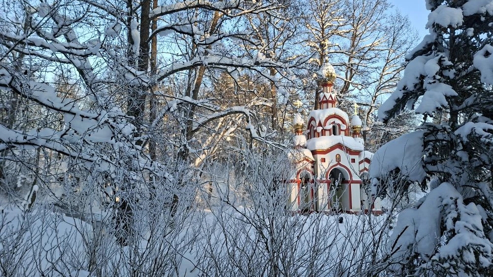 Поездка в Талеж на святой источник. Ах,какая же зимушка в этом году прекрасная! смотреть онлайн