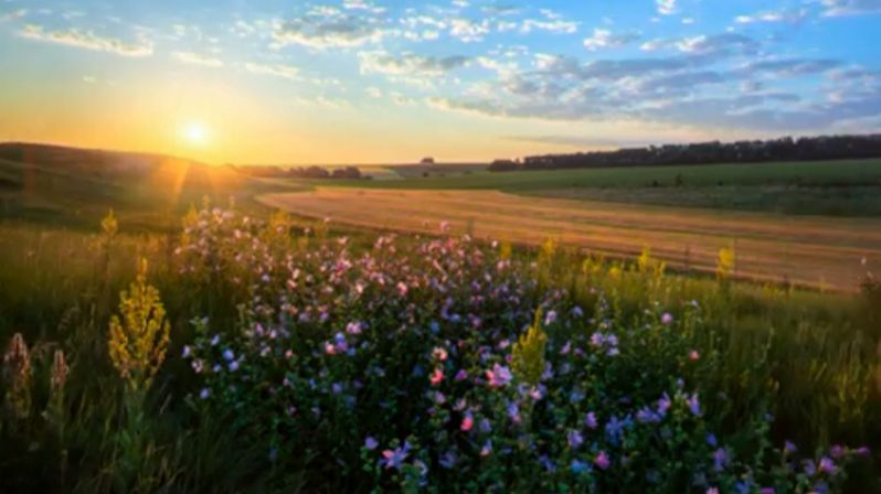 А лето цвета счастья...