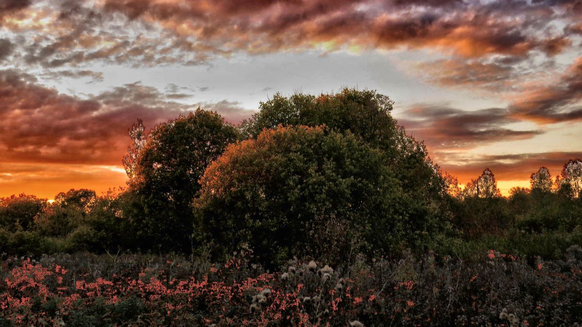 Нежный вечер... смотреть онлайн