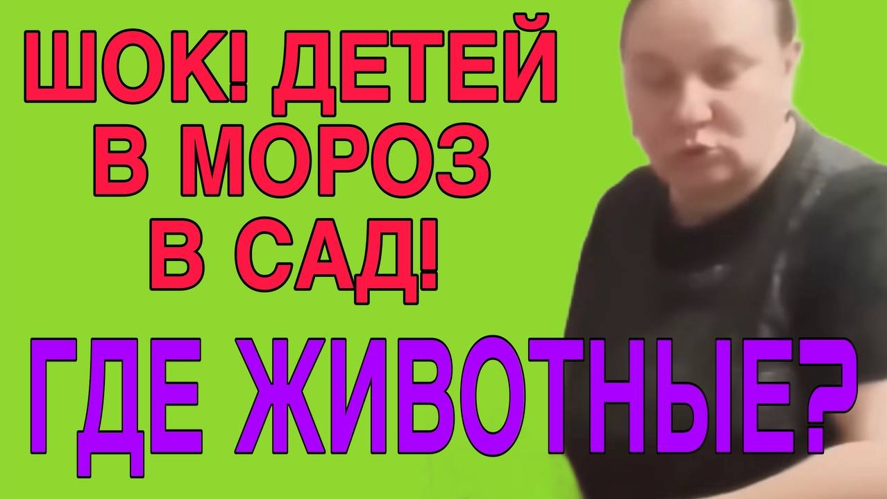 КИСЕЛЁВА! ЧТО ТЫ ТВОРИШЬ? ОЛЬГА ИЗ ЗАУРАЛЬЯ. ОБЗОР. смотреть онлайн