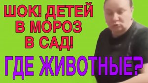 КИСЕЛЁВА! ЧТО ТЫ ТВОРИШЬ? ОЛЬГА ИЗ ЗАУРАЛЬЯ. ОБЗОР.