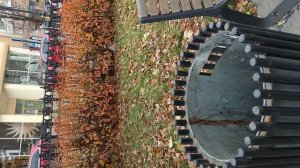 №880 Комсомольский проспект. 11 октября 2025 г., 15:17:31 VID_20251011_151724331