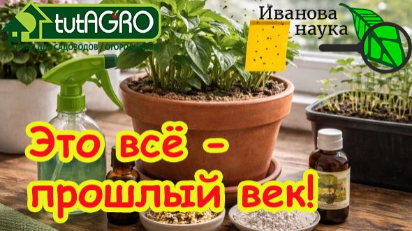 Не слушайте глупых про черных мух! Чёрные мошки в рассаде? Убейте их за 1 минуту БЕЗ ХИМИИ! смотреть онлайн