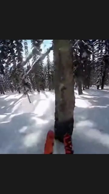 лыжныйспорт лыжи зимниеэкспедиций снежныеприключения активныйотдых спортнаприроде