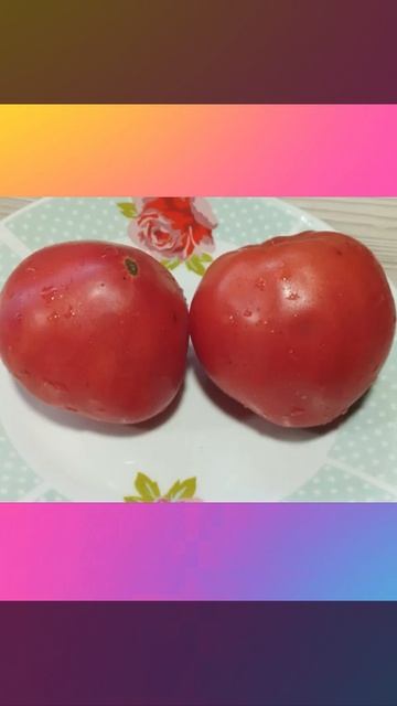 Томат Сердце Иванушки. т. 89229284031 смотреть онлайн