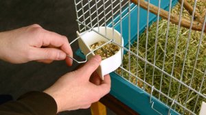 Съевший корм для попугаев водитель лишился прав после ДТП в Петербурге