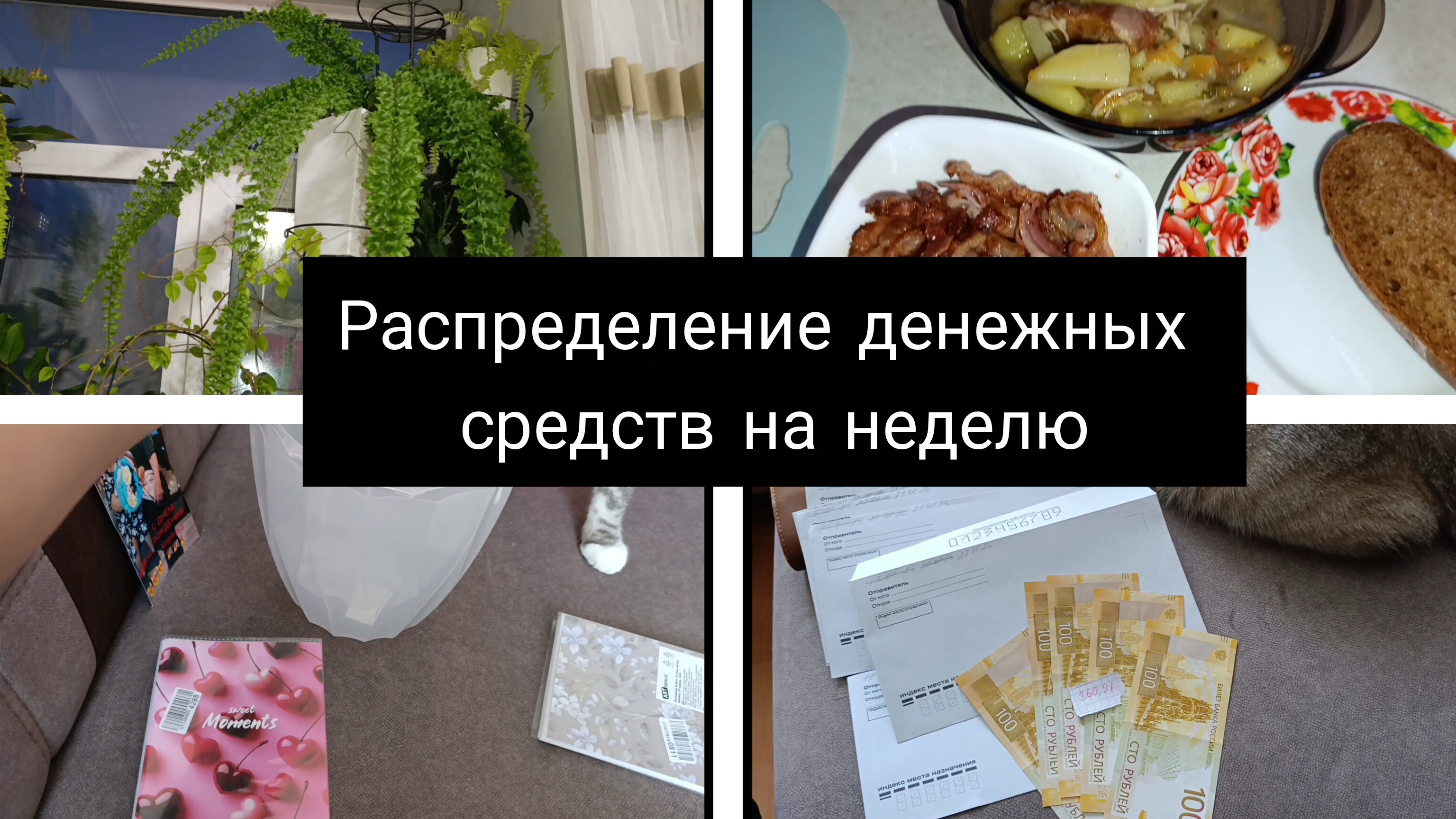 готовим🍲/цены в магазине/бюджет на продукты🤑🤑🤑 смотреть онлайн