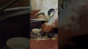 всем привет 👋