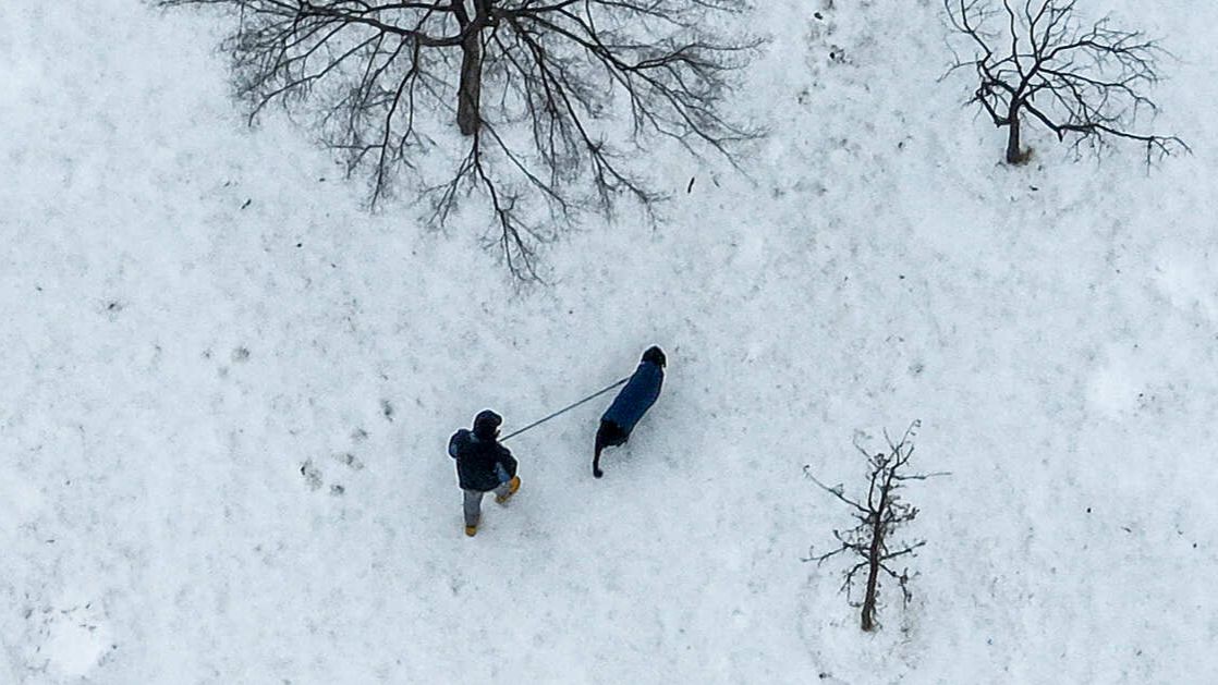 Семь человек замерзли насмерть в Техасе из-за снежного апокалипсиса смотреть онлайн