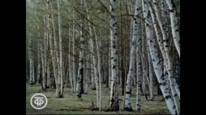 День рождения В. Бианки