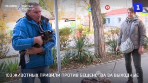 100 животных привили против бешенства за выходные