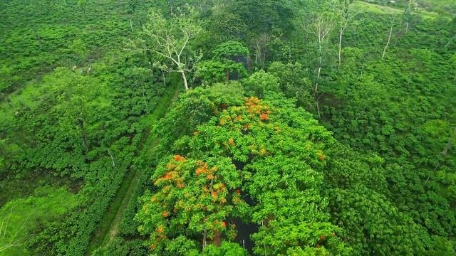 Ahmad Zahir. Raqs/Аҳмад Зоҳир. Рақс (Archive cassete version) смотреть онлайн