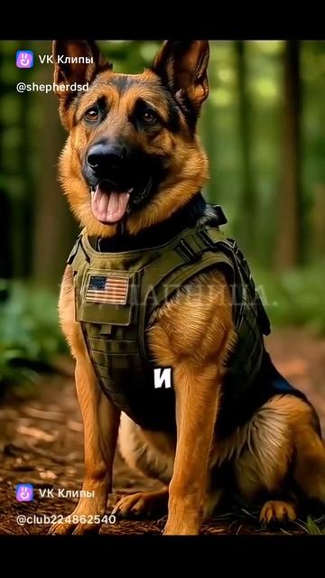 1000147222.mp4 смотреть онлайн