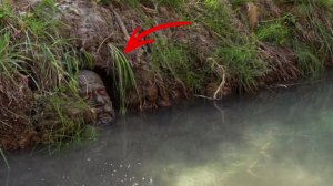 Большая рыбалка / Рыбалка на реке / Невероятный метод / Необычный способ лова рыбы !