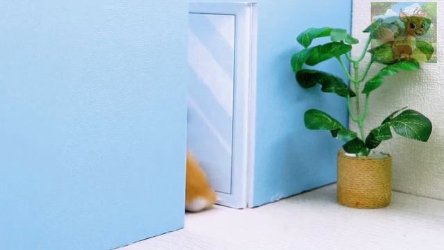 Хомячки заботятся о малышах, Малыш получает травму и оказывается завернутым в мумию хомячком! смотреть онлайн