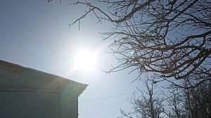 Ждём потепления//Рацион моих коз//Попрыгунчики🤗