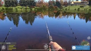 Русская рыбалка 4. Новогодние задания 2026 #11