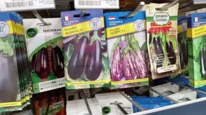 ЛЕМАНА ПРО ПО ПУТИ.