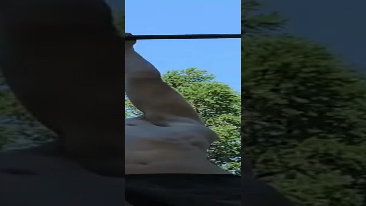 4 one arm pull ups deadstop смотреть онлайн