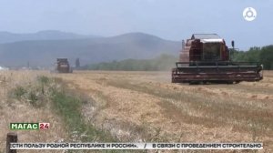 Дайджест новостей 25012026