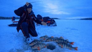 Зимняя рыбалка в Карелии на мотобуксировщике Ikudzo. Ловля окуня на блесну, мормышку и балансир