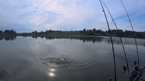 РЫБАЛКА НА ОЗЕРЕ МЕТАЛЛУРГ В ГОРОДЕ НОВОКУЗНЕЦК 2025 🐟 🐟 🐟