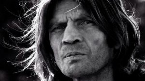 Пушистый хвост лисицы (Ступин-AI Cover)