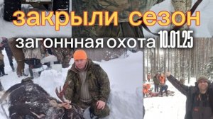 Закрыли сезон!!! охота 10.01.26