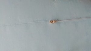 видео из школы)