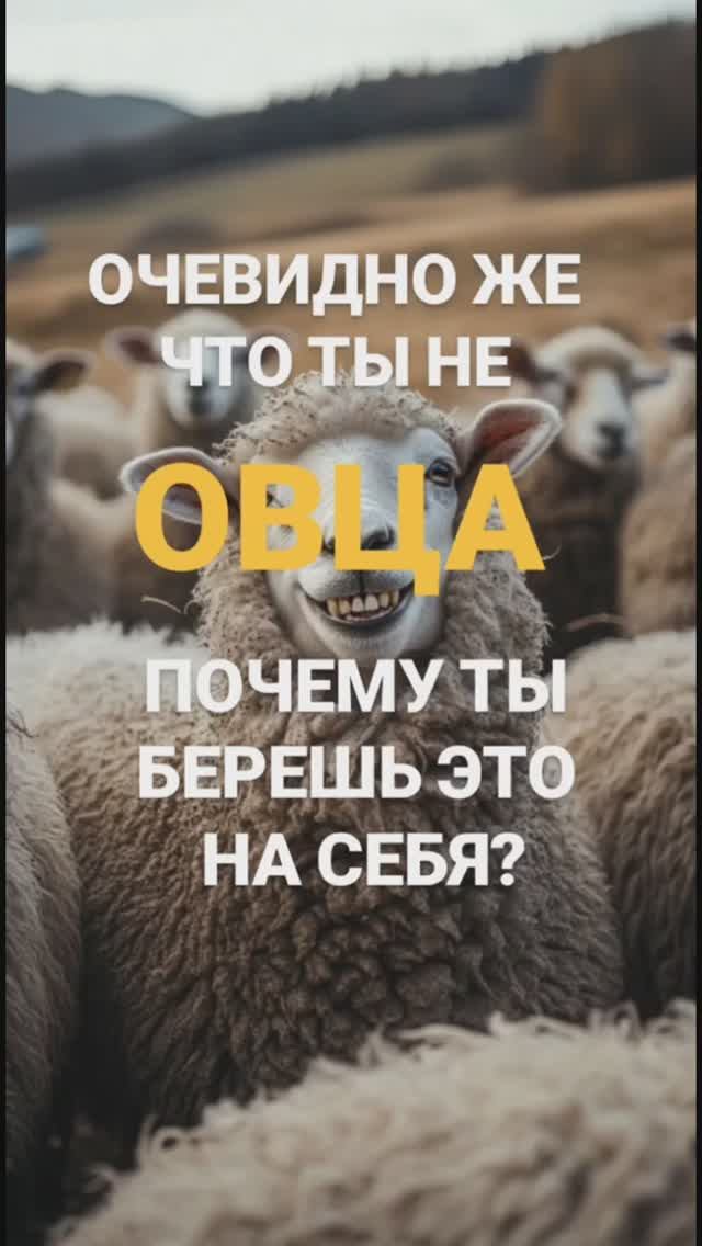 ПОЧЕМЫ ТЫ БЕРЕШЬ ЭТО НА СВОЙ СЧЕТ? смотреть онлайн