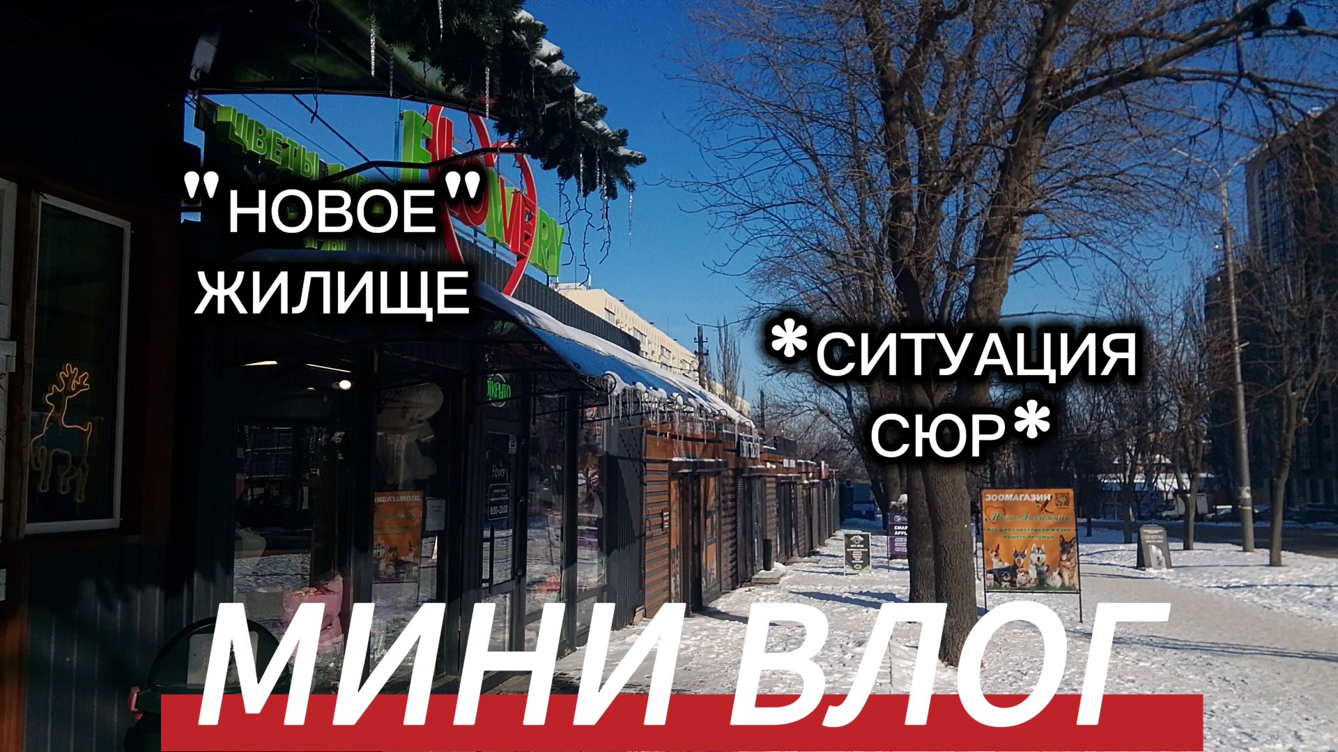 🫣МИНИ ВЛОГ💭 смотреть онлайн