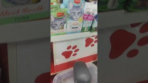 После Гоши я поехала покупать клетку для него