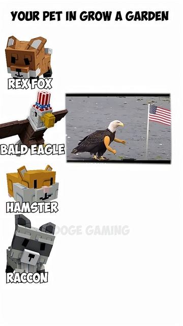 питомцы из вырасти сад в реальной жизни смотреть онлайн