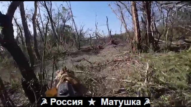 🔴Будни войны глазами снайперов группы «Селигера».🔴 смотреть онлайн