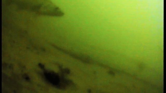 Рыбалка смотреть онлайн