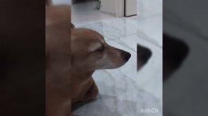 это вот да такое видео