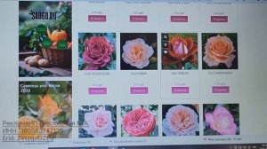 ВЫБОР СЕМЯН НА 2026/ТАКИХ ЦЕН ВЫ ТОЧНО НЕ ВИДЕЛИ! ТЕПЕРЬ ПОКУПАЮ СЕМЕНА ТОЛЬКО ЗДЕСЬ!