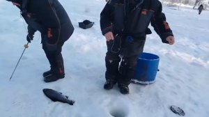 26.01.26 г. РК Волна.