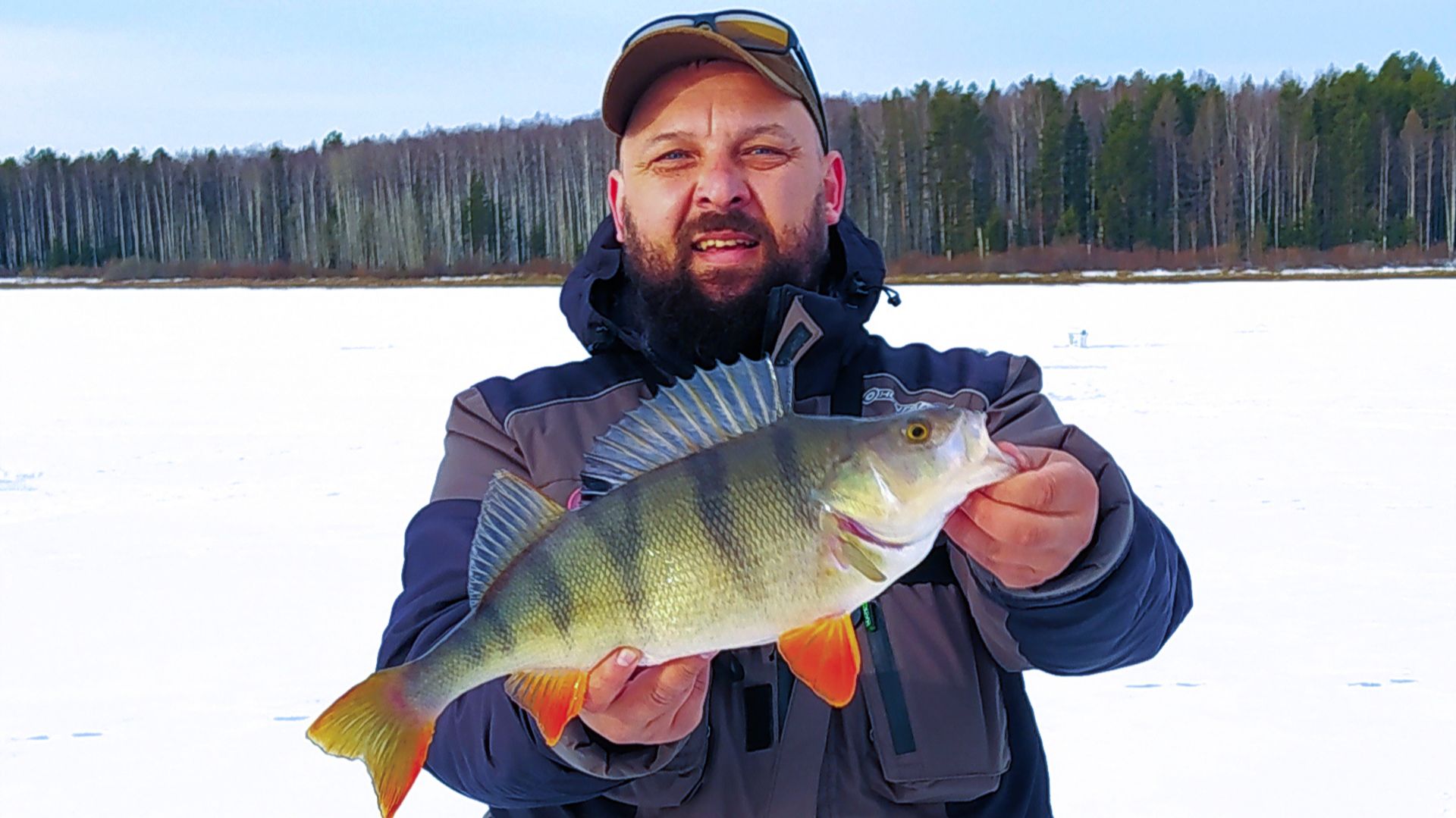 Не думал, что ТАКОЕ клюнет !!! ГИГАНТСКИЙ ОКУНЬ на чёртика. Обновил свой рекорд !!! смотреть онлайн