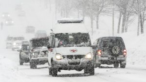 В Брянской области после атаки ВСУ пострадала женщина, повреждены более 50 домов