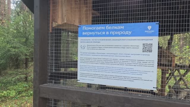 Осенняя прогулка на электросамокате в лесу. Парк Ямской лес. Курорт Завидово. Дата - 15.10.25 смотреть онлайн