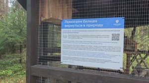 Осенняя прогулка на электросамокате в лесу. Парк Ямской лес. Курорт Завидово. Дата - 15.10.25