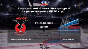 ХК "Заневский Молот" 12 - ХК "Невский" 12 | 31.01.2026