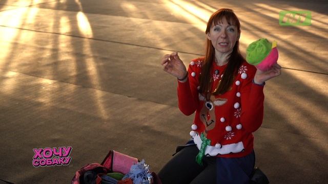 Игры с собакой. Правила и советы по выбору игрушек. Программа «Хочу собаку». 2 сезон. Выпуск 1 смотреть онлайн