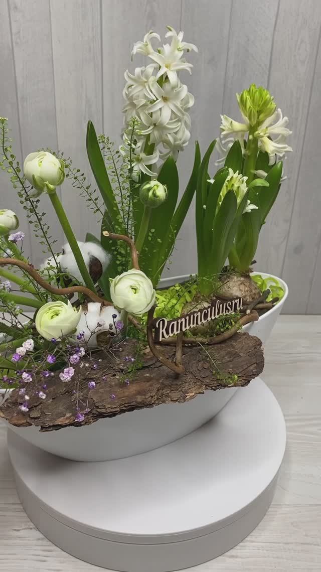 Композиция из луковичных гиацинтов смотреть онлайн