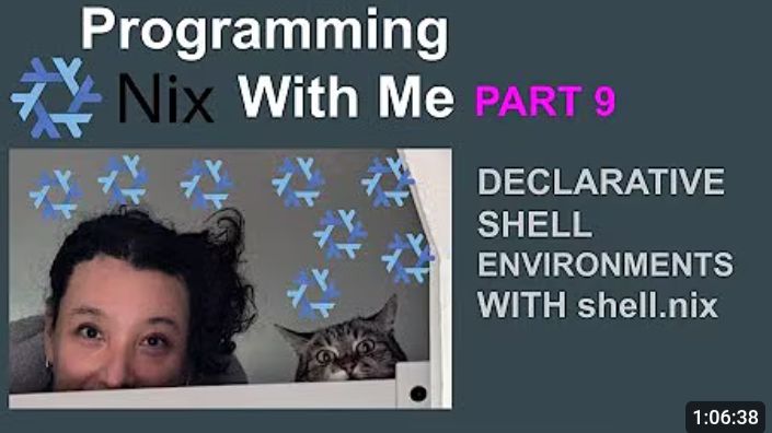 Learn Together Nix Programming | Part 9 - Declarative shell environments with shell.nix смотреть онлайн