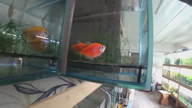 Что получилось за эти дни смотреть онлайн