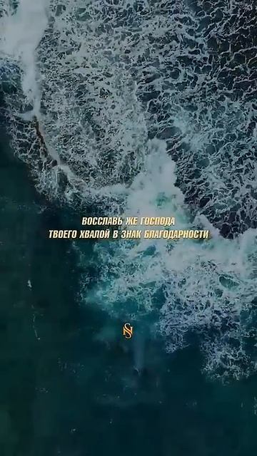 Успокоенный сердца..... #quran #аллоху смотреть онлайн