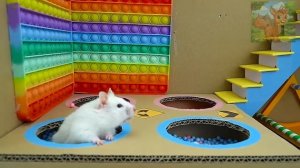 Маленький хомяк отправляется в опасное путешествие, чтобы успеть на поезд, и прибывает в последнюю м